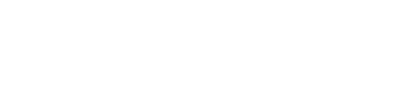 Logo the MUD Foundation
